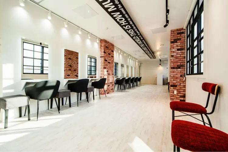 Dityca sowの内観・外観1