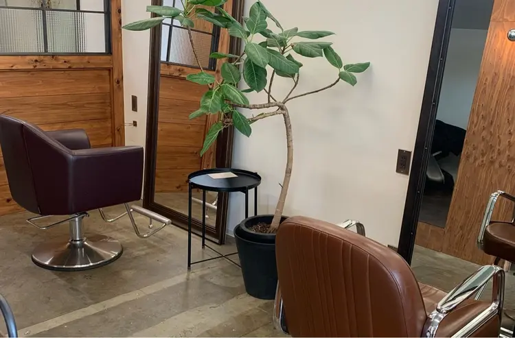 イロトカタチ　つくば店の内観・外観1