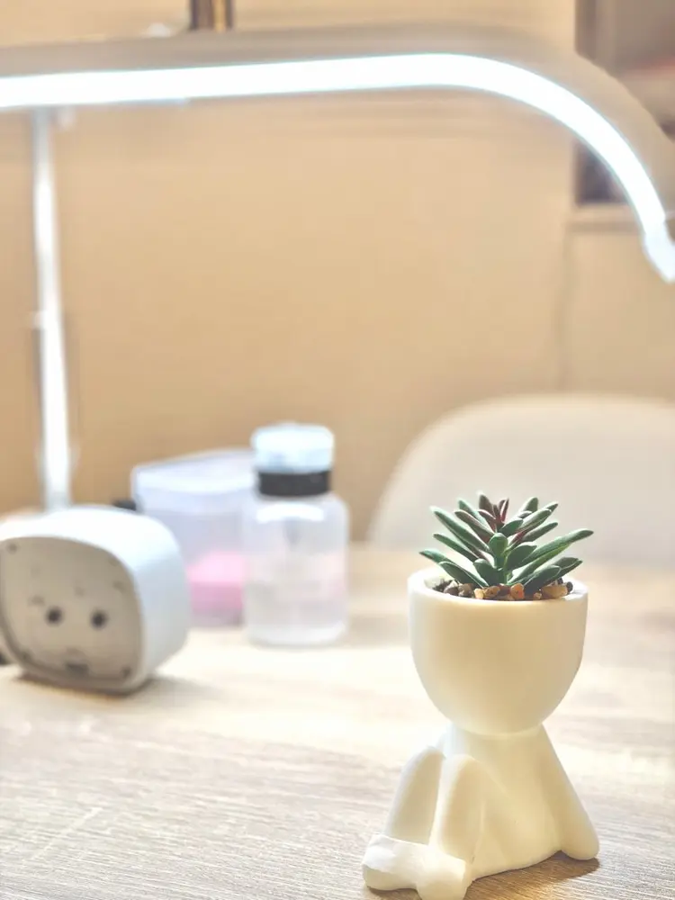 mf N ／ nail_fan_miの内観・外観1