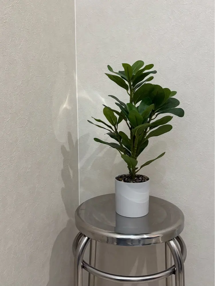 eyebrow salon ening (MAQUM中町)の内観・外観3