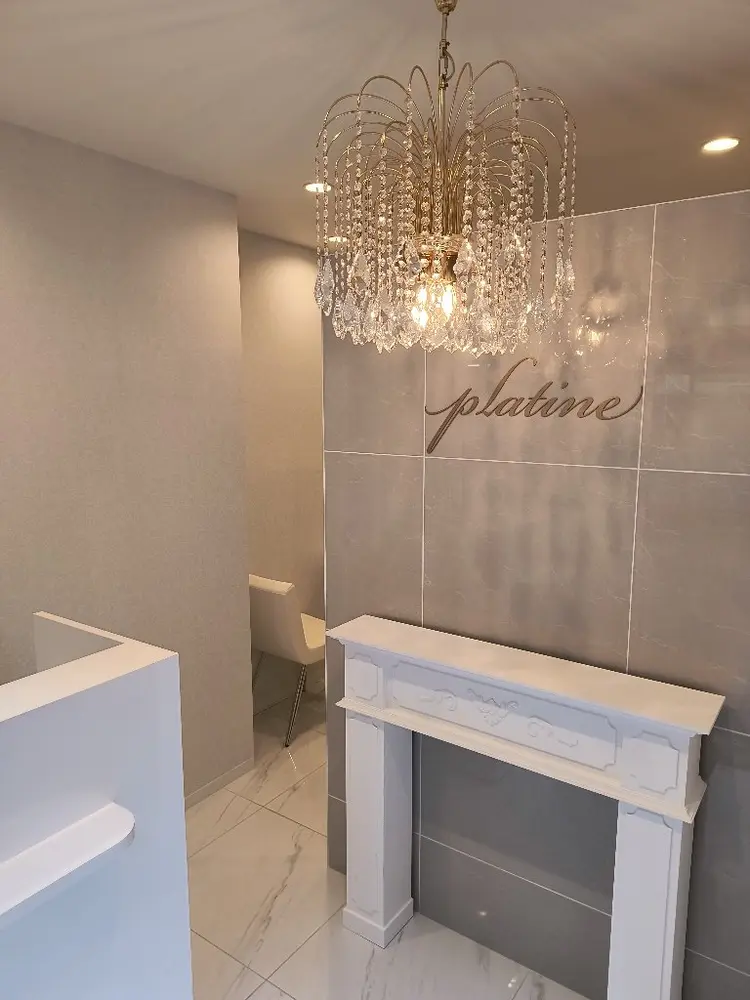 プラティーヌの内観・外観1