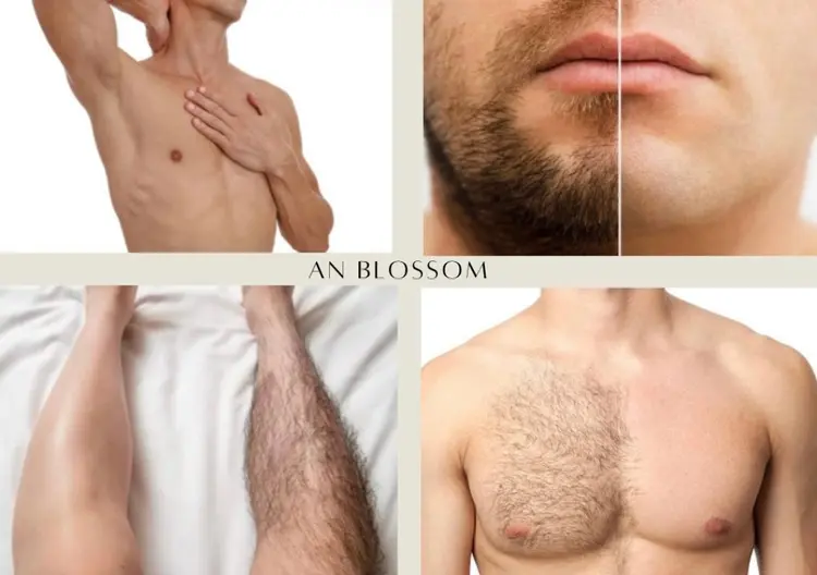 An Blossomの内観・外観3