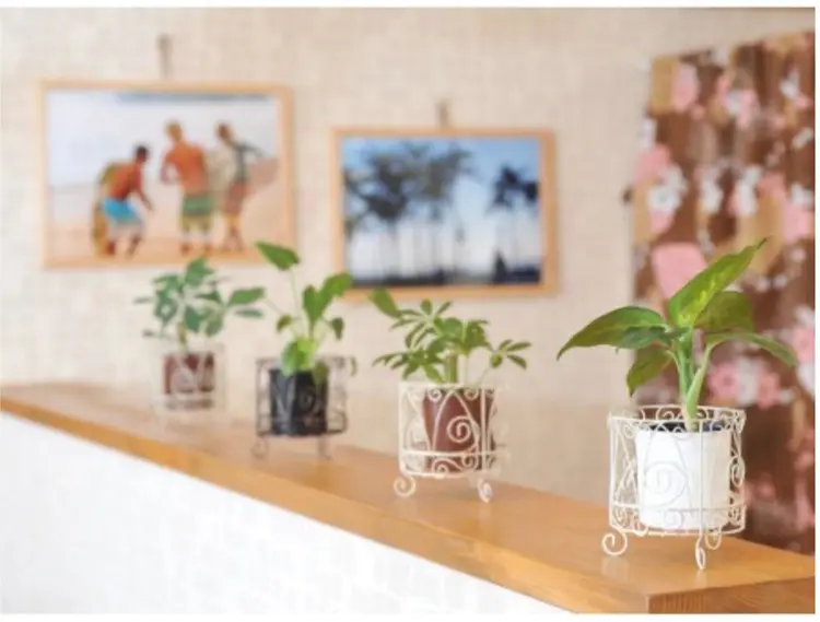 KR2S 中百舌鳥店の内観・外観1