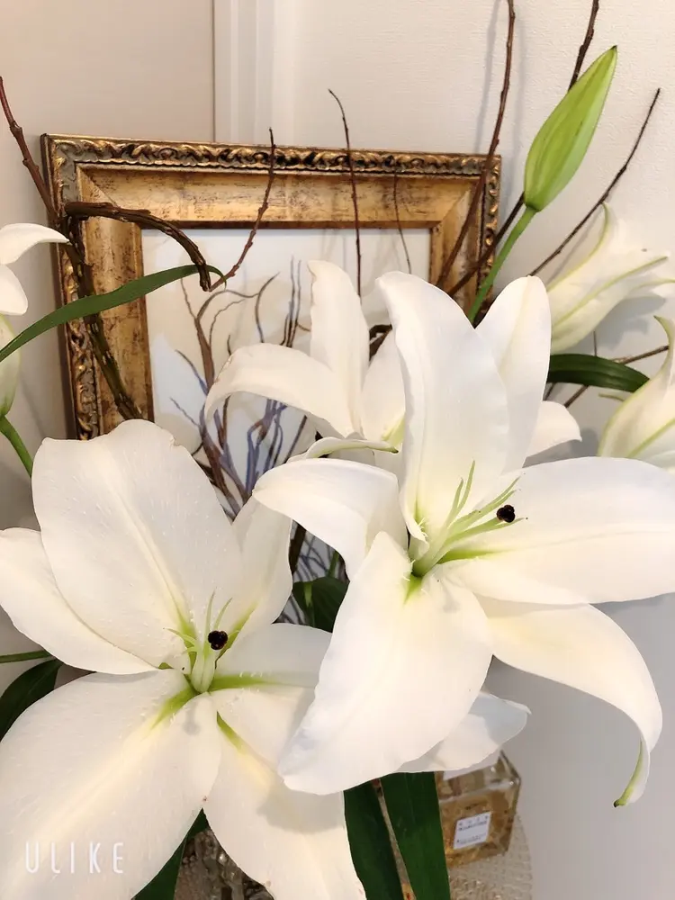 Beauty Salon MiLiの内観・外観3