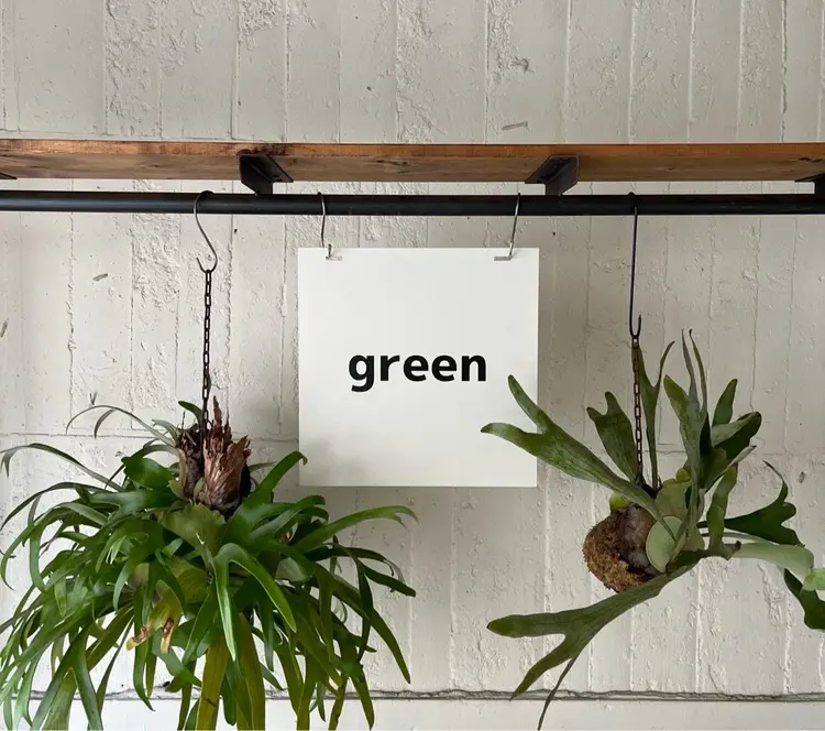 greenの内観・外観1
