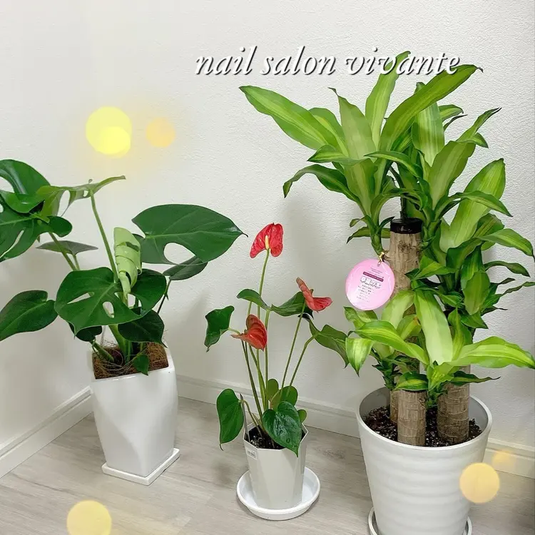 nail salon vivanteの内観・外観2
