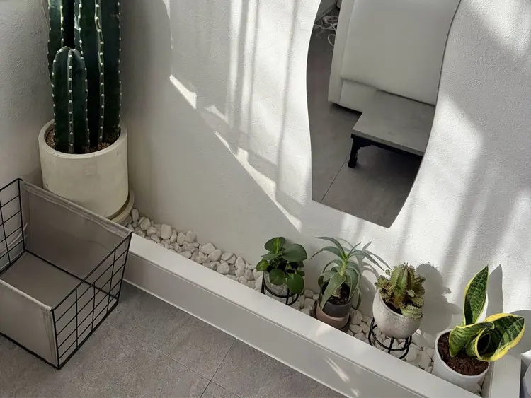 chaleureux【シャルルー】の内観・外観2