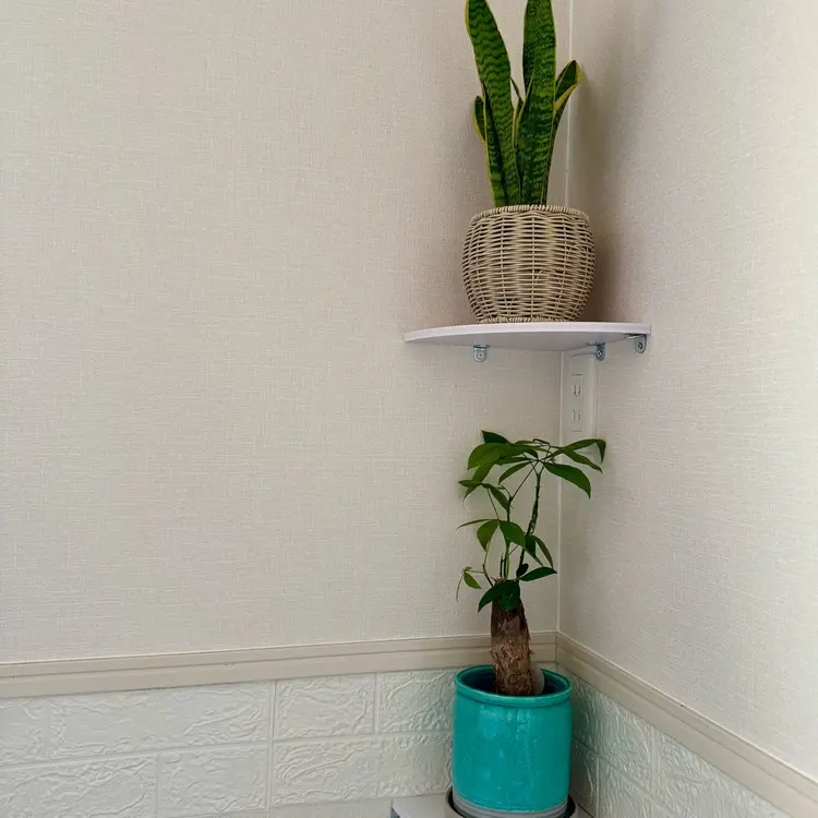 Welina nailの内観・外観2