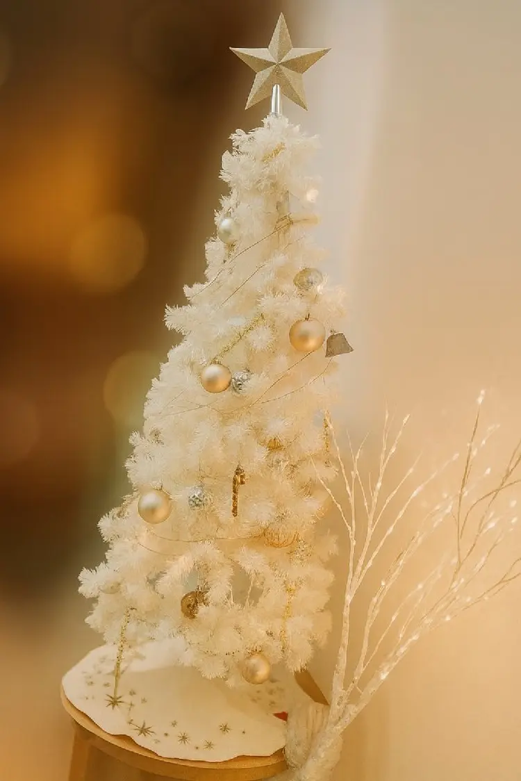 E.m.u..の内観・外観1