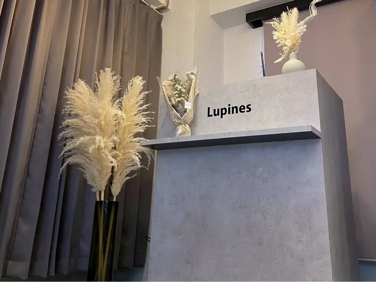 Lupines橋本店の内観・外観2