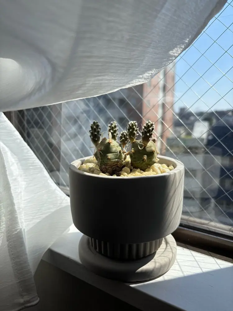 She nail studio中目黒店/JUNO NAILの内観・外観3