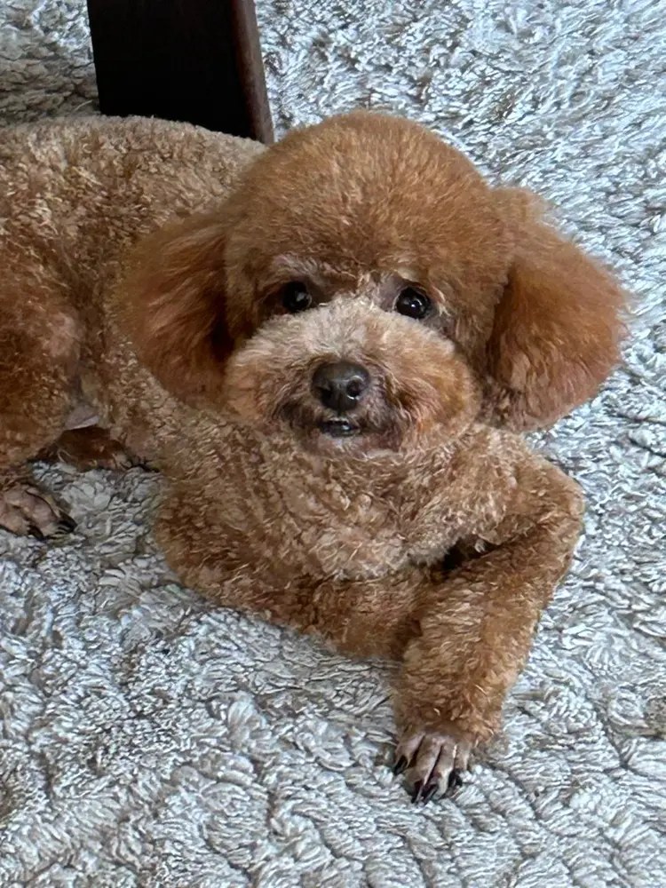 n.bebe nailの内観・外観1