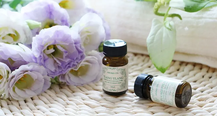 MELISSA(メリッサ)の内観・外観3