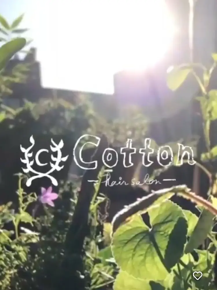 cottonの内観・外観2