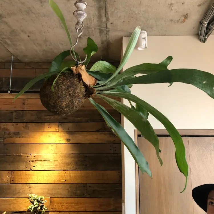 stream1stの内観・外観1