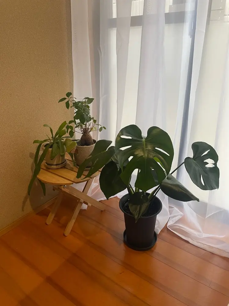 Re:N【リン】の内観・外観2