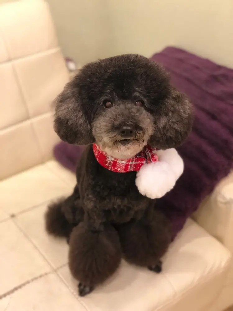 il fait beauの内観・外観1