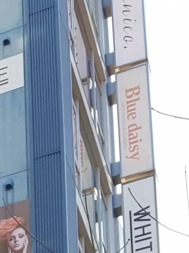 ブルーデイジー栄本店の内観・外観2