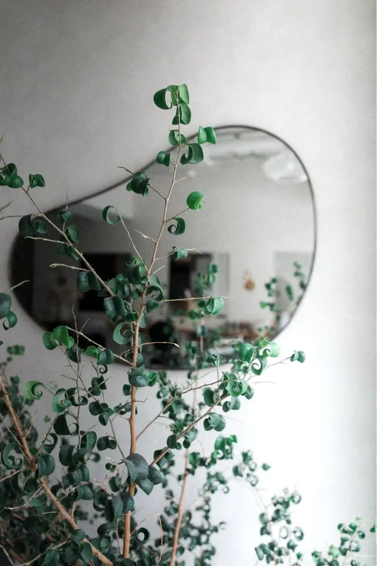 kibitoの内観・外観2