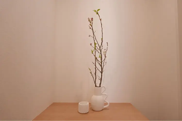 Hi, I am 1 PARAFUSE.の内観・外観1