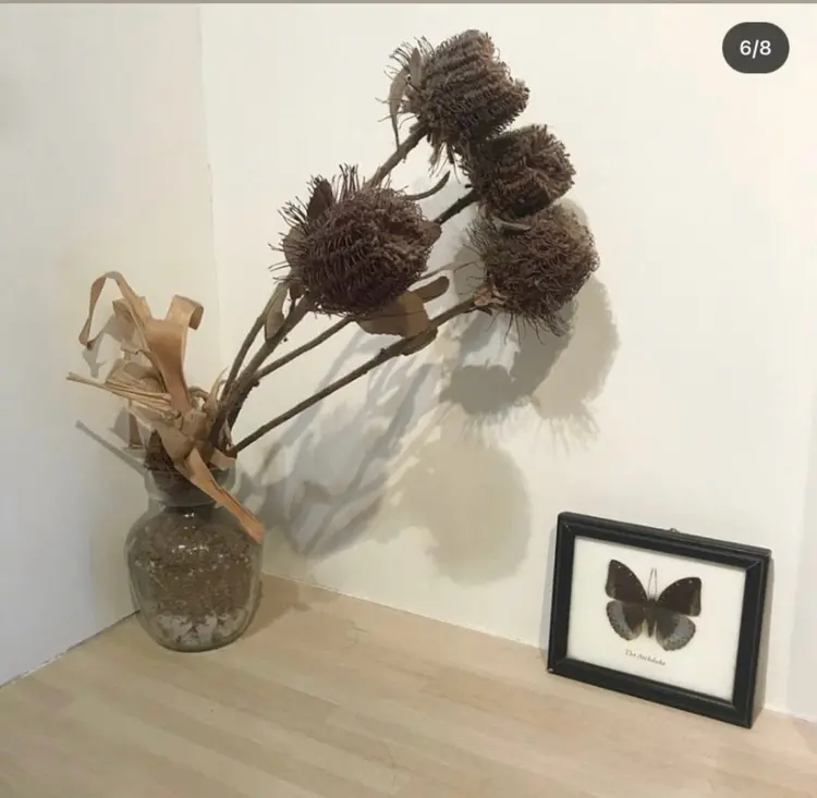 カウチ池袋の内観・外観3