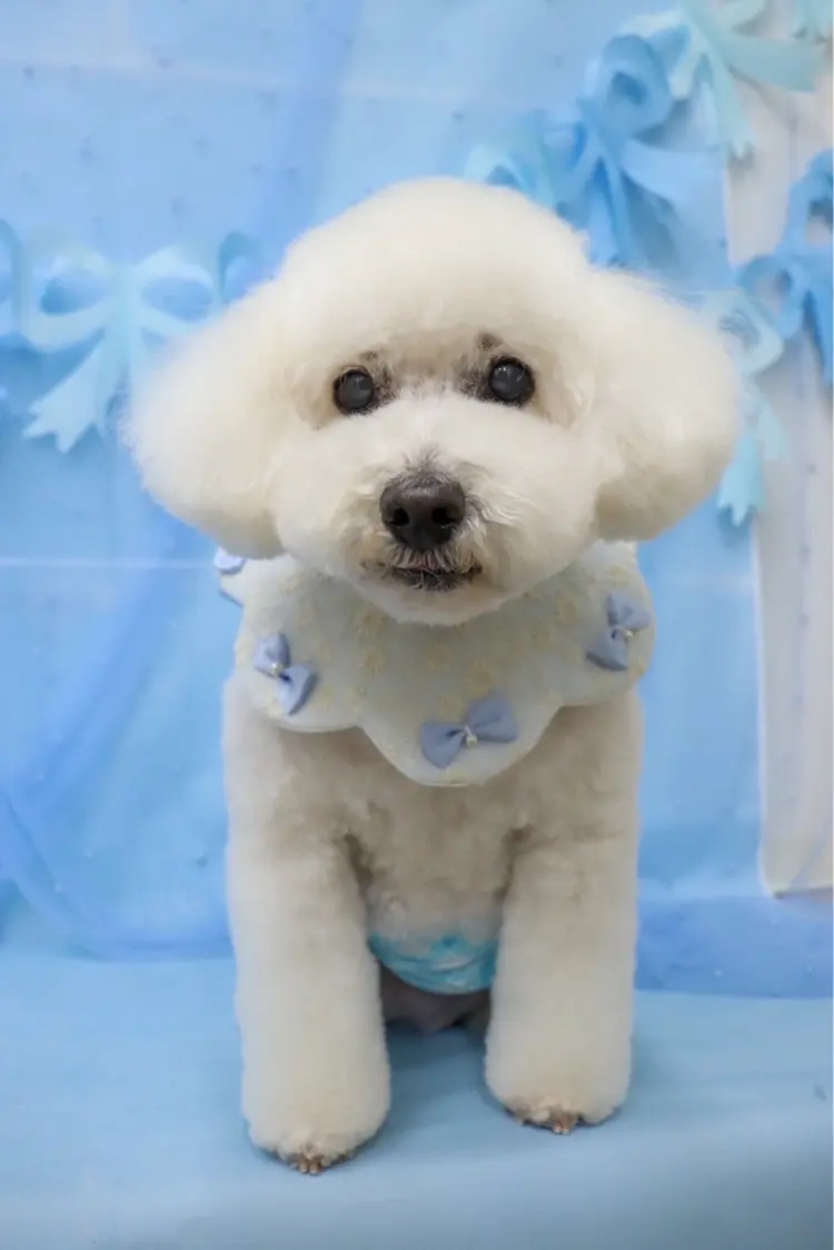 beauty salon mee+の内観・外観1