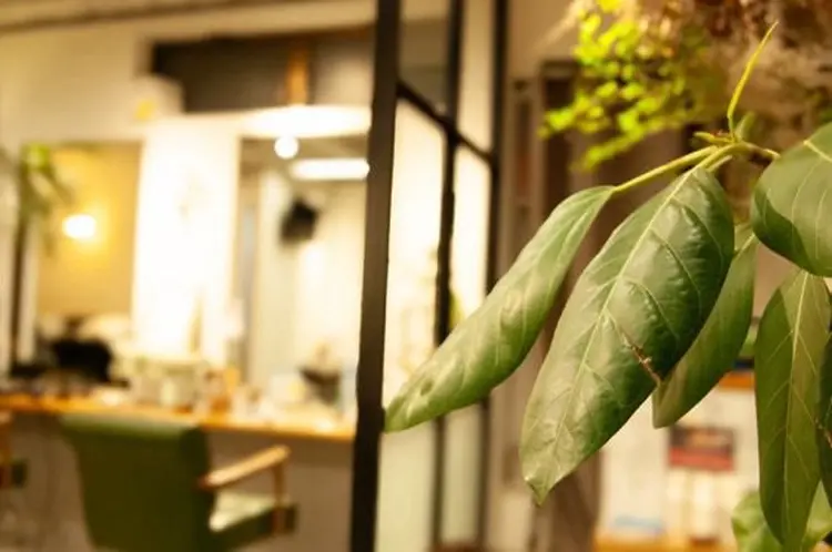 μ-ziq rotta 【ミュージック ロッタ】の内観・外観3