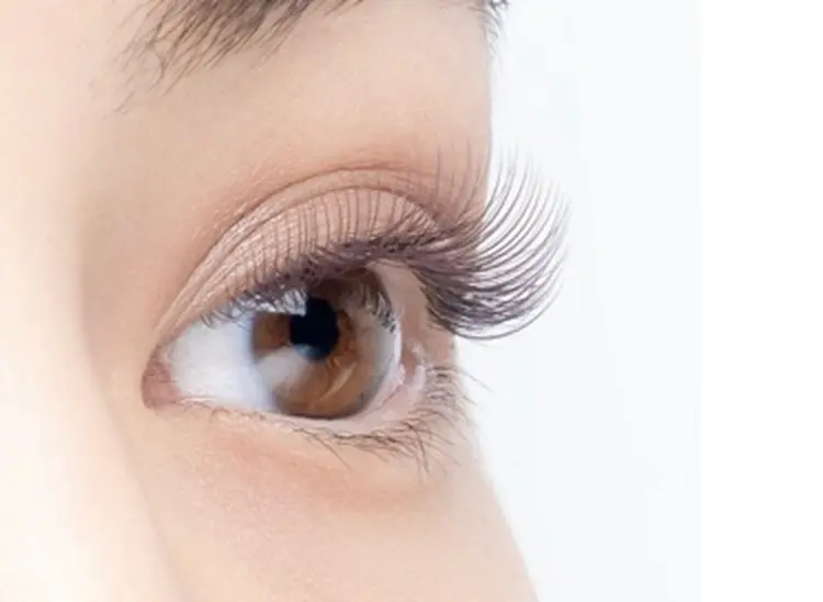 Lea Leaの内観・外観2