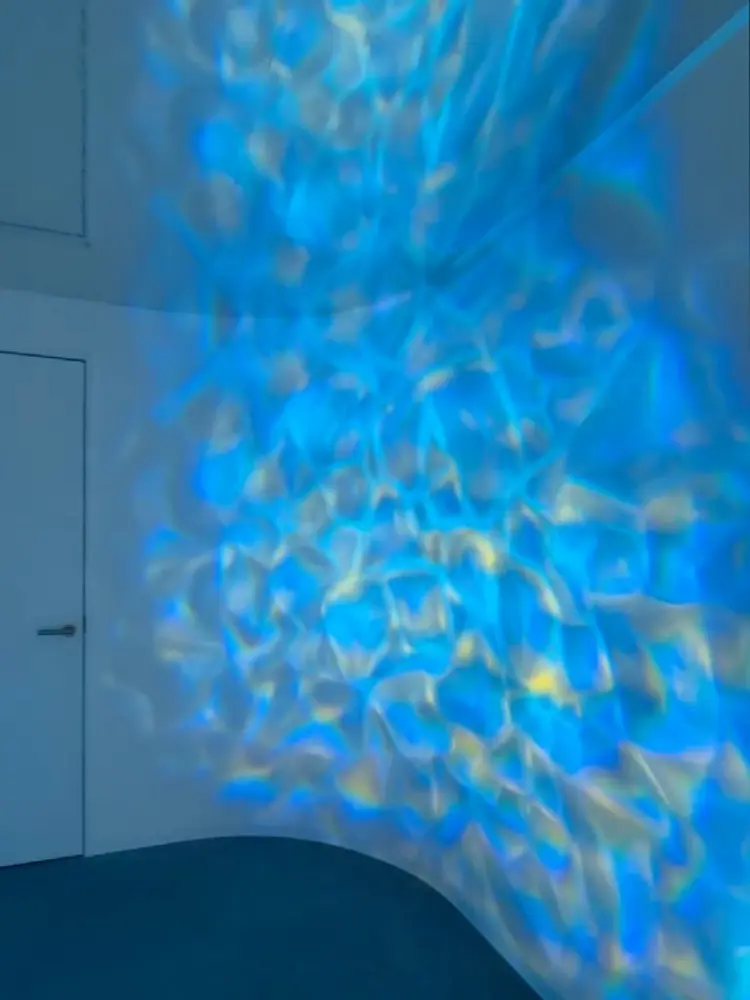 ドライヘッドスパ専門店 仙豆のちから× Dr.Reset 宇都宮店の内観・外観1