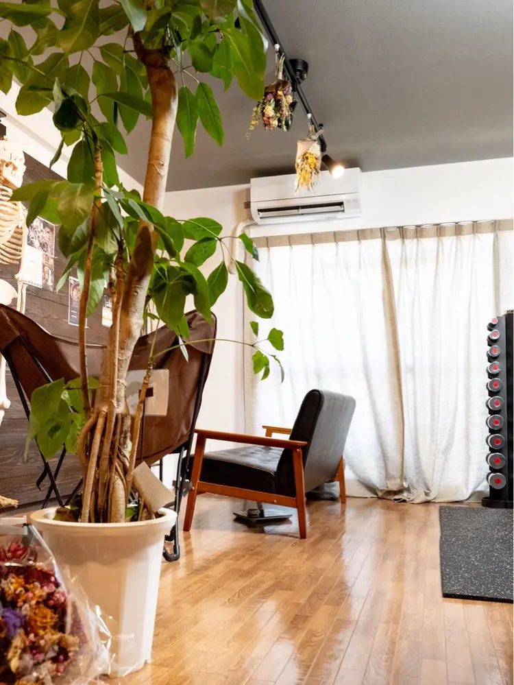 Body Renovation salon W1Lの内観・外観1