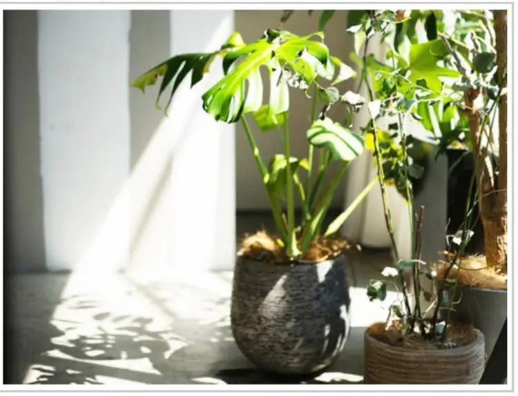 ain.anly表参道店の内観・外観2