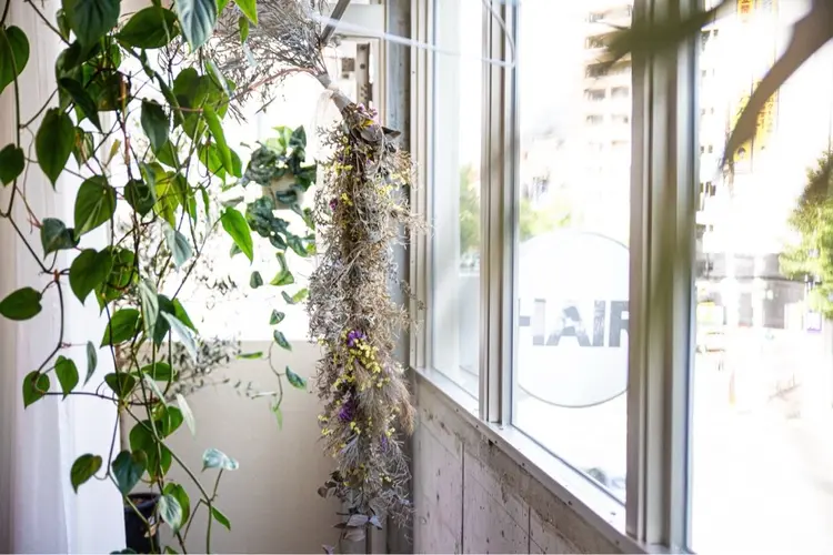 loe 薬院本店【ロエ】の内観・外観3