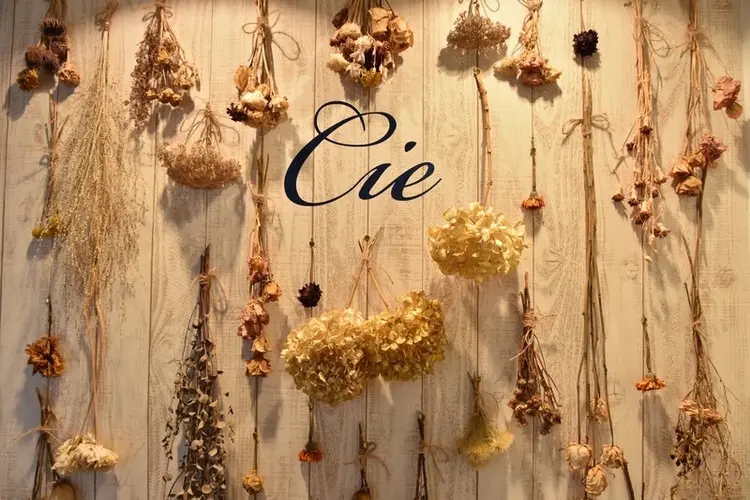 cieの内観・外観1