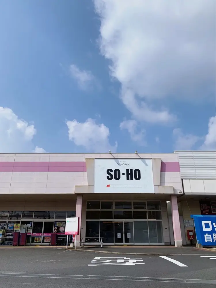 SO-HOの内観・外観1