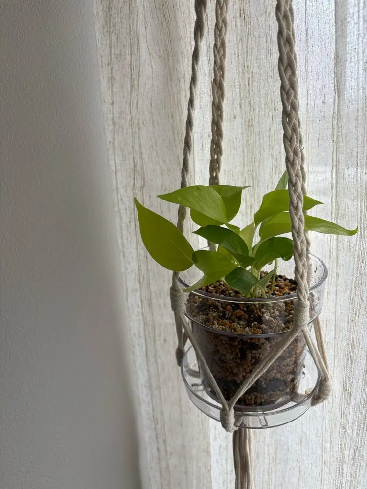 private salon Naturaの内観・外観2