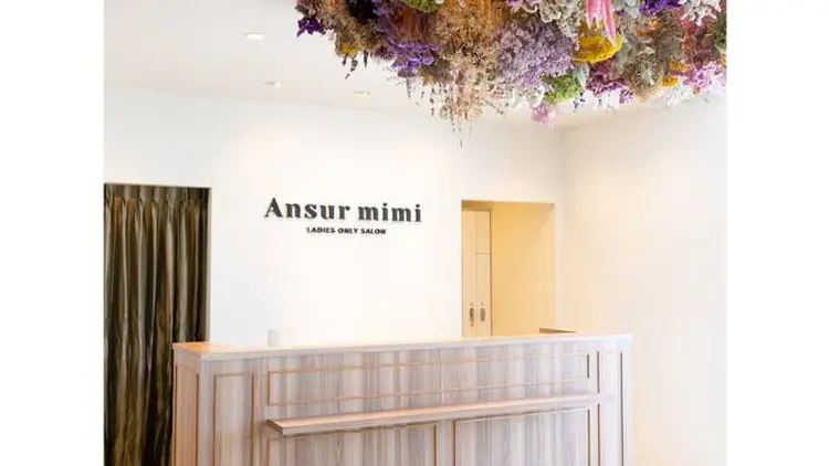 Ansur mimiの内観・外観2