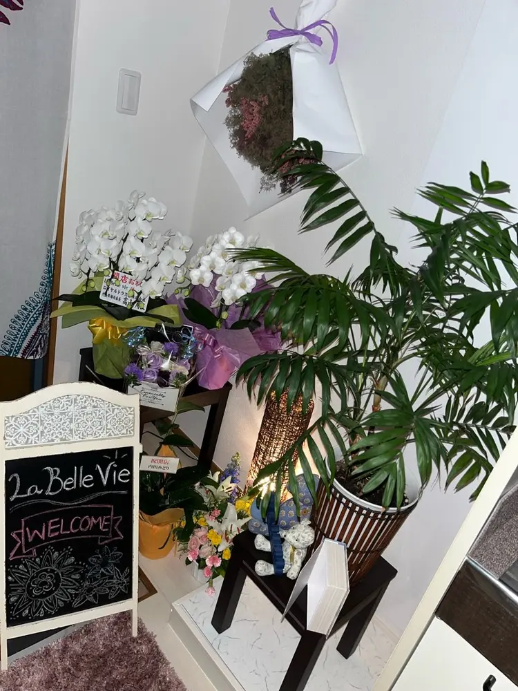 La BeIIe vieの内観・外観3