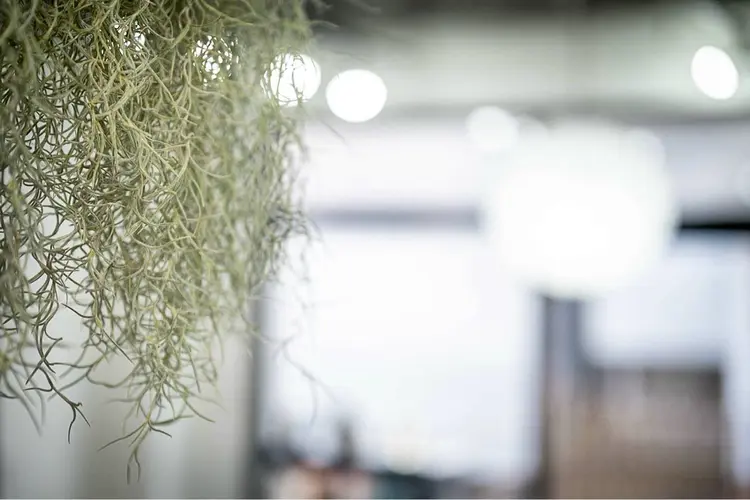 Raugh by Apri Lushの内観・外観2