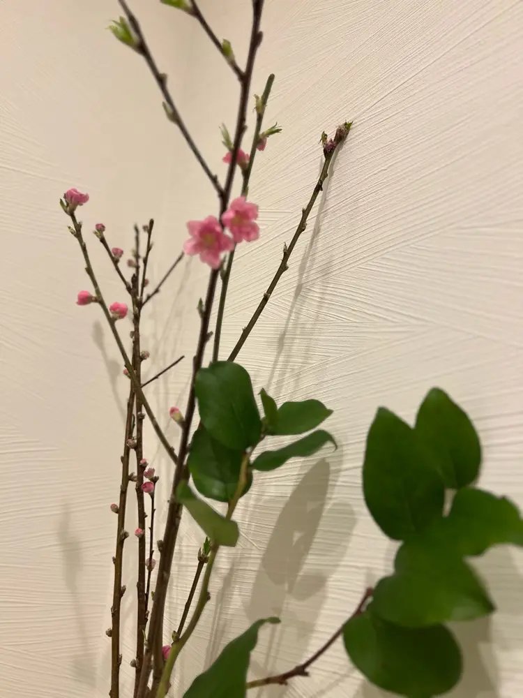 mignonneの内観・外観2