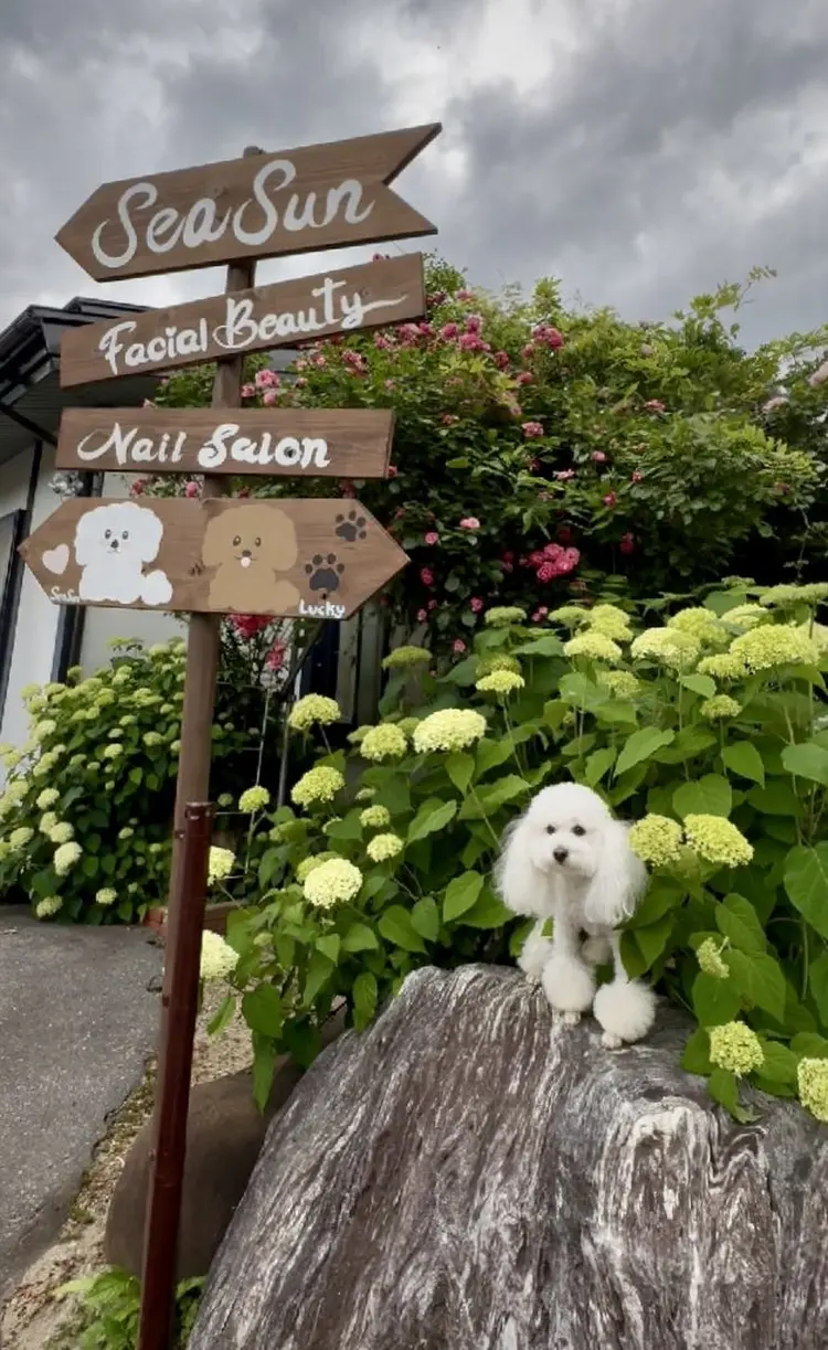 Sea Sunの内観・外観1