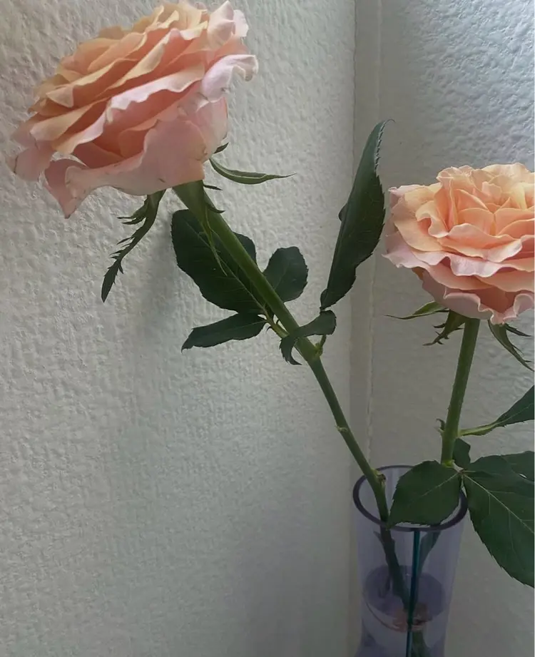 monny nailの内観・外観3