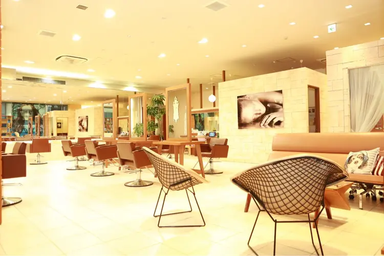 neolive dressの内観・外観2