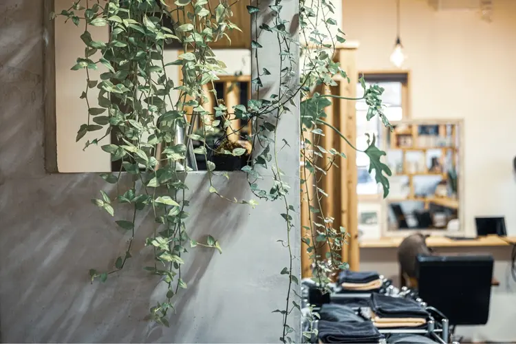 cherir HAIR DESIGNの内観・外観3