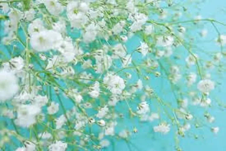 Total Beauty Salon　TRINTの内観・外観1