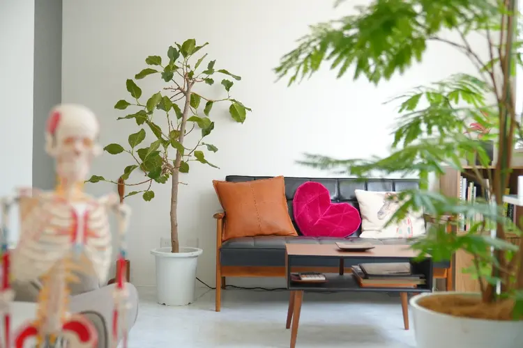 Mani di Fataの内観・外観1