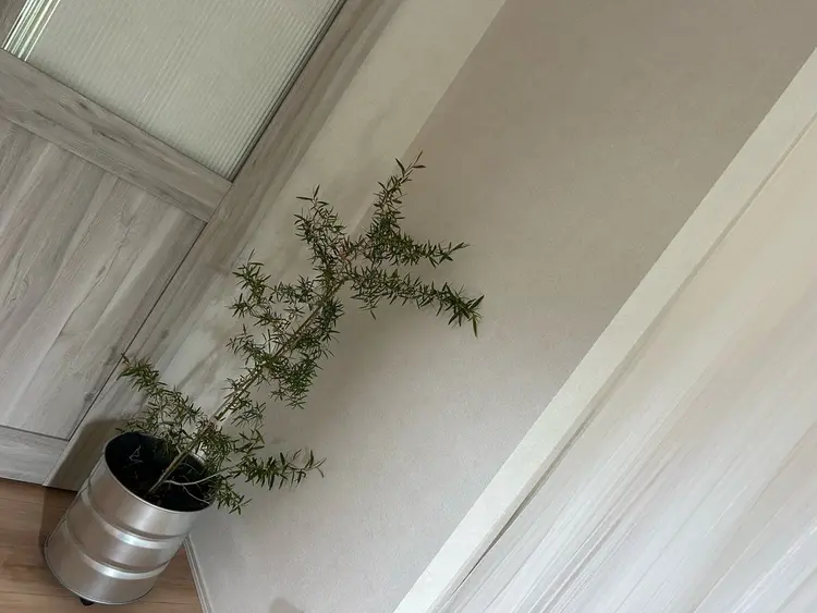 eum.(ウム)の内観・外観3