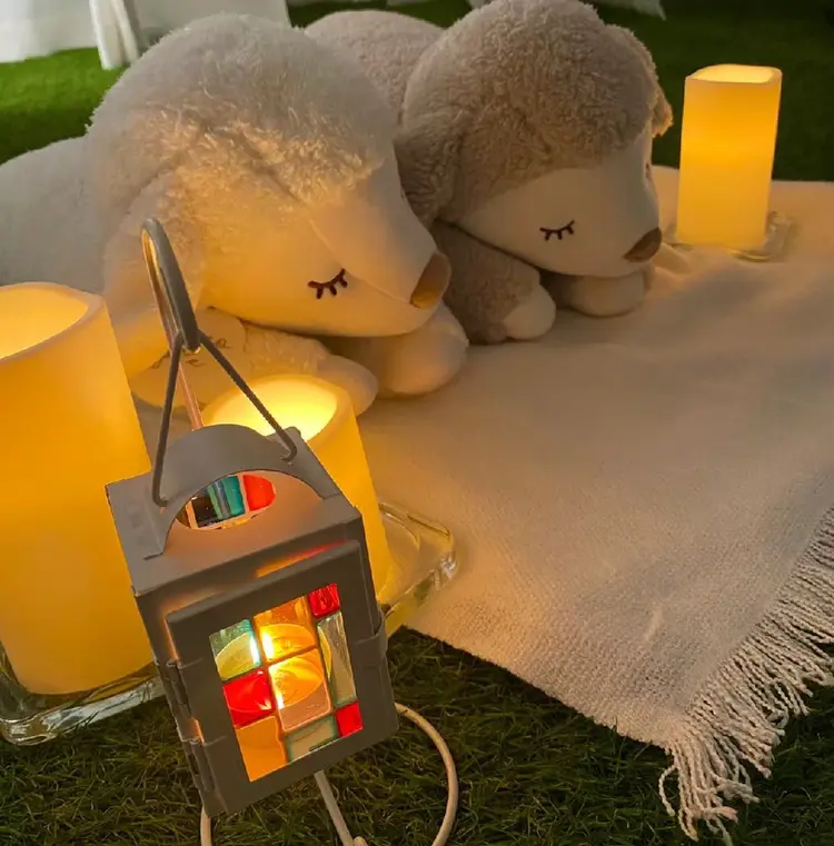 ひつじの安らぎ 甲府店の内観・外観1