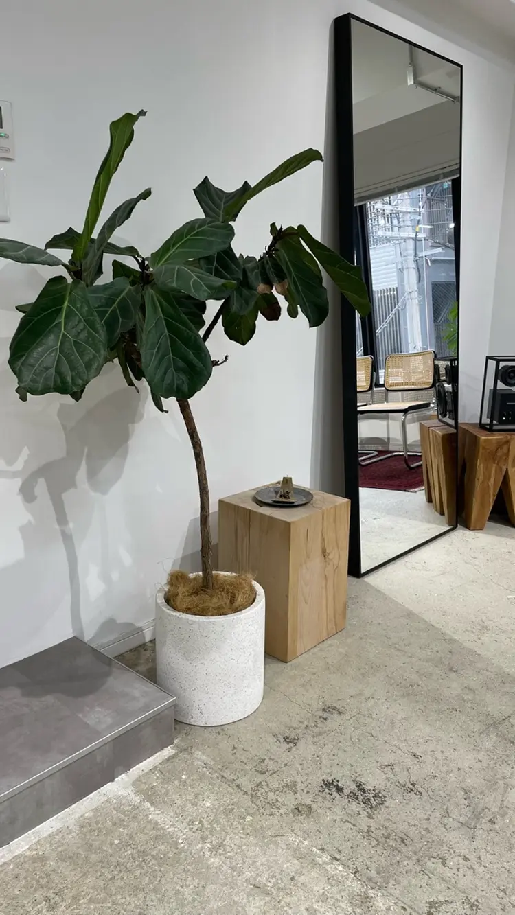 coodの内観・外観2