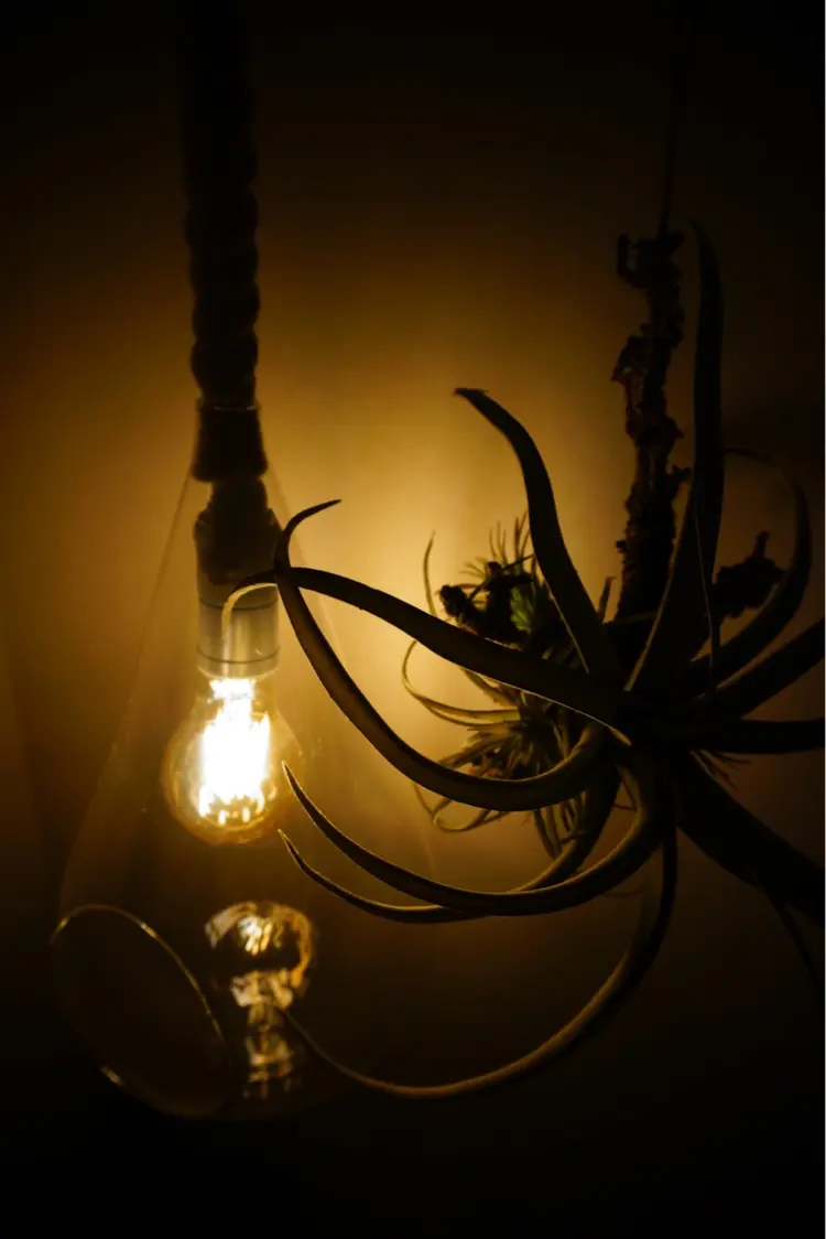 アネックスアイズの内観・外観3