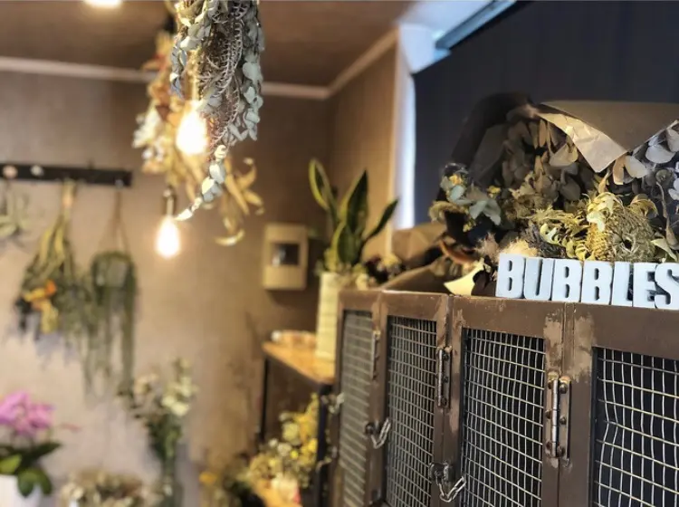 BUBBLESの内観・外観1